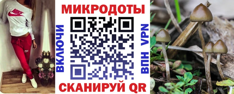 Галлюциногенные грибы Magic Shrooms  ОМГ ОМГ ONION  Киреевск 