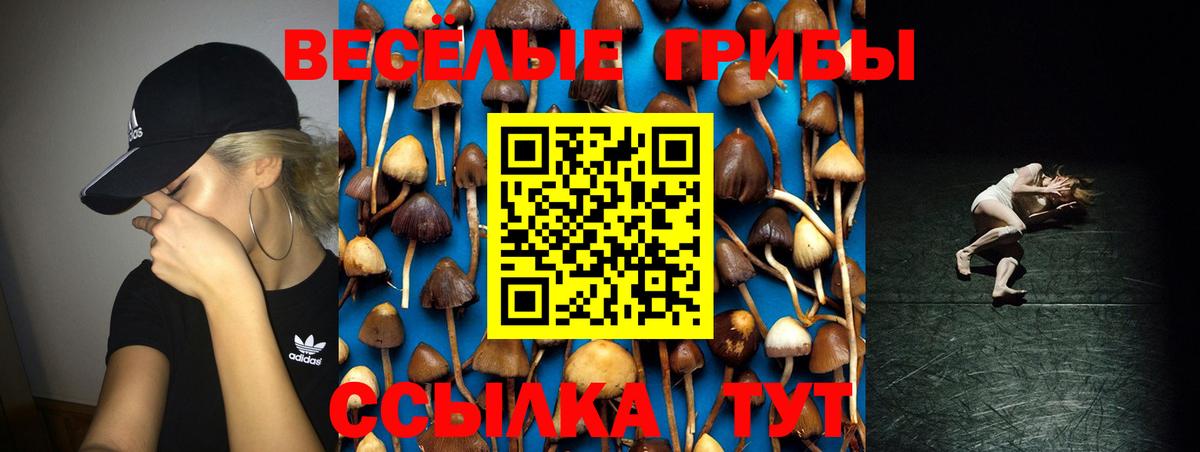 Галлюциногенные грибы GOLDEN TEACHER  Вход с VPN  Киреевск 